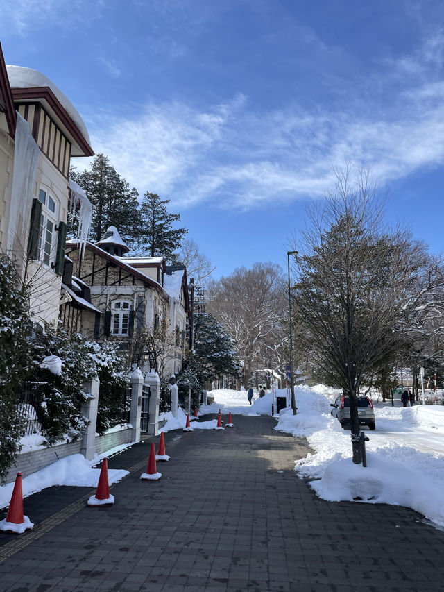 Sapporo's Snowy Charm ❄️🏙️