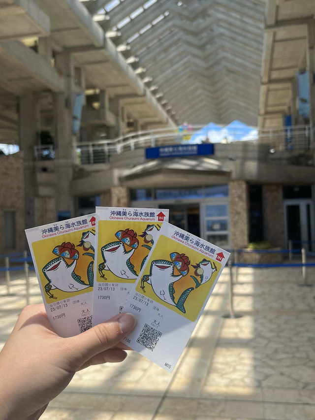 ✨ 全亞洲最大的「美麗海水族館」✨