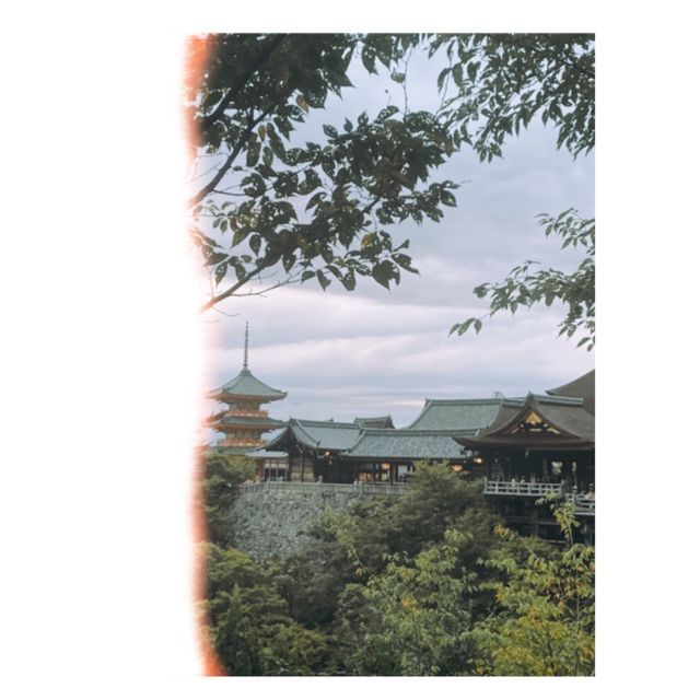 8日7夜的大阪京都神戶！
