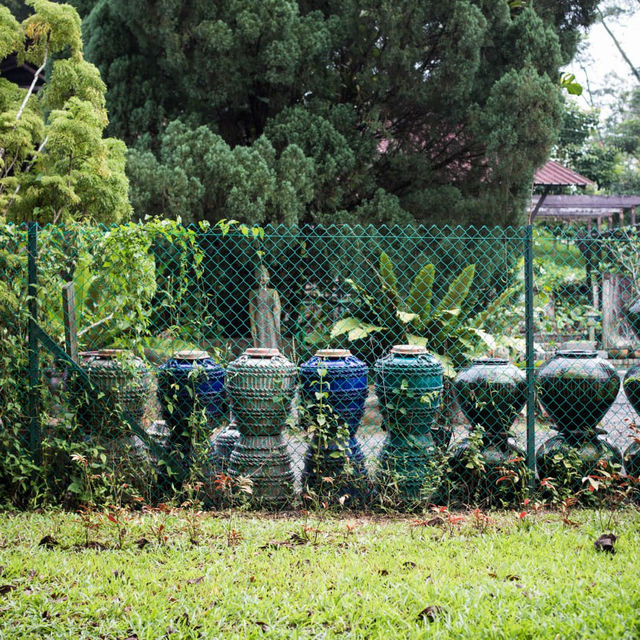 Hidden Gem Pottery Jungle in Singapore