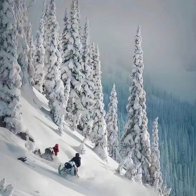 白雪紛飛：吉華滑雪場