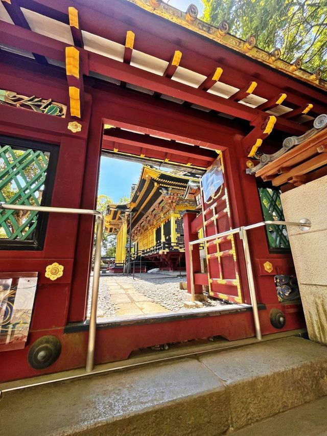 【東京|上野】まばゆい金色堂✨