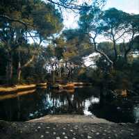 MAGNIFICENT WOODED PARK IN MARSEILLE.