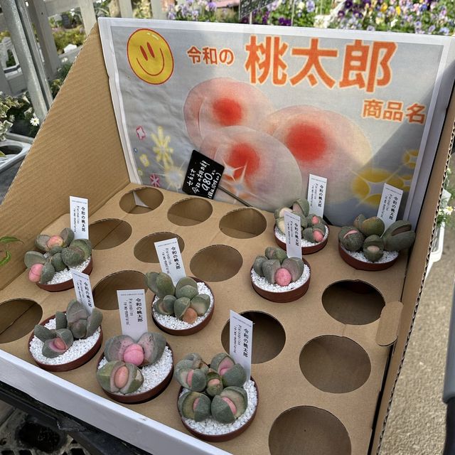 植物園！？素敵すぎる園芸ショップ！