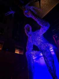 Time for Light to Night Festival 2024!