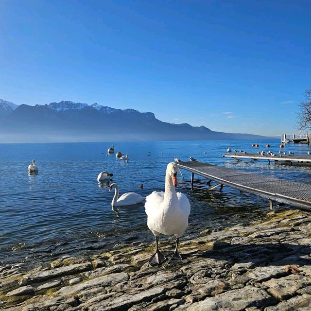 Vevey lake Switzerland 