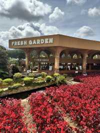 Fresh Garden at Dalat Vietnam 