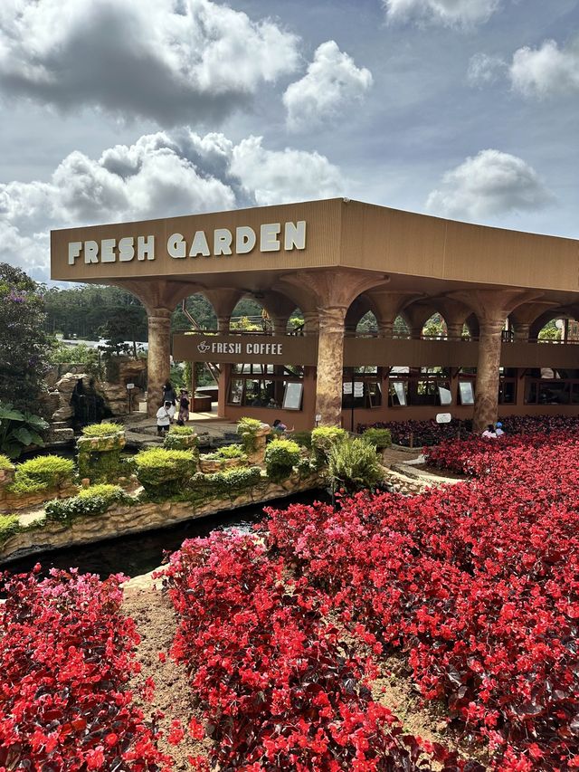 Fresh Garden at Dalat Vietnam 