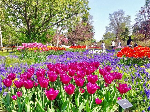 Yurigahara Park 