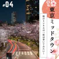 🌸必見！都内の夜桜攻略！🌸