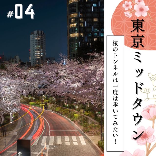 🌸必見！都内の夜桜攻略！🌸