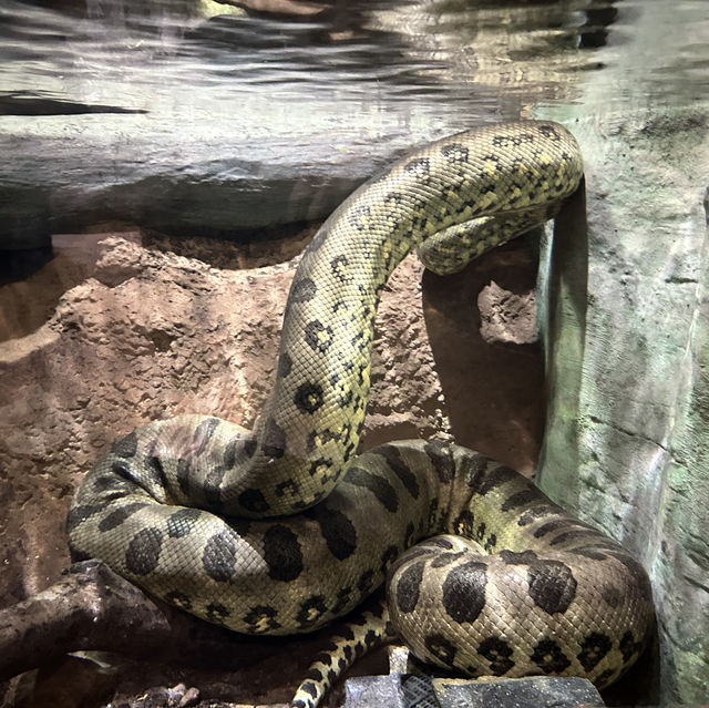香港海洋公園是旅遊必定要去地方