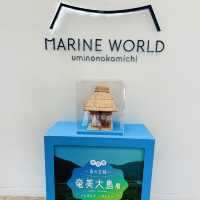 Marine World 