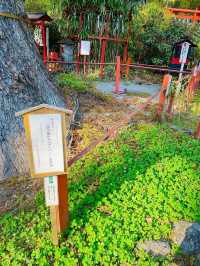 【日光二荒山神社・神苑/栃木県】縁結びスポット満載