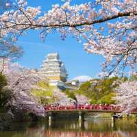 Himeji Castle เฮียวโกะ