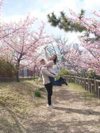 日本情侶櫻花攝影小教學