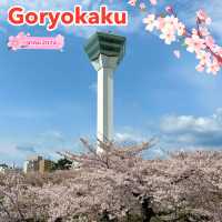 ซากุระในสวน “Goryokaku”🌸🌸🌸