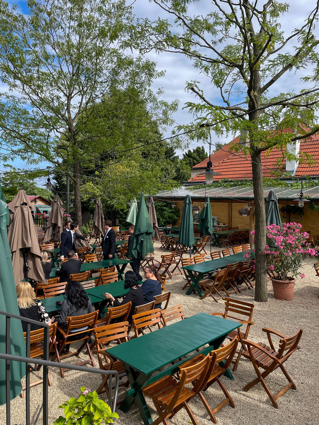 오스트리아의 전통 와인 술집 Mayer am Pfarrplatz