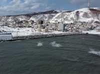 Wakkanai North Breakwater Dome หยุดชมวิวที่นี่กัน