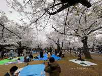 สวนโยโยกิ Yoyogi Park 🌸