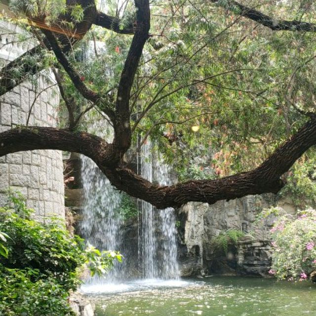 香港公園隱世餐廳💟Pondside💟 香港公園隱世餐廳💟Pondside💟