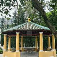 衛武營都會公園：自然的完美🎭🌳