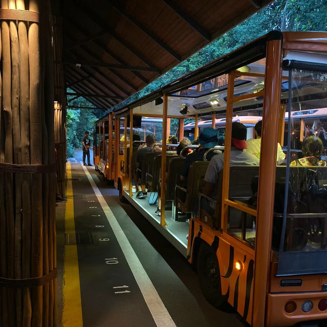 新加坡夜更動物園：原始叢林探索，必訪景點