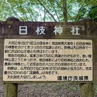 土浦日枝神社の流鏑馬神事🐎