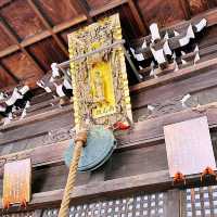 🐈毛孩🐕御守寺🛕