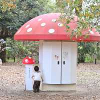 【京都】桜や季節のお花が楽しめる京都府立植物園