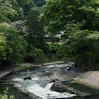 芥川櫻堤公園：城市綠洲，感受大自然之美