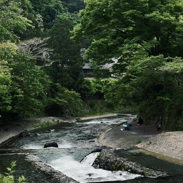 芥川櫻堤公園：城市綠洲，感受大自然之美
