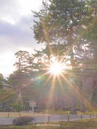 【石川/金沢】兼六園無料で行ける時間帯があるの知ってました？？ 