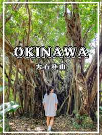 【沖縄】国頭村 やんばるの自然を堪能できるパワースポット！