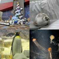 【大阪】日本最大水族館，必去景點