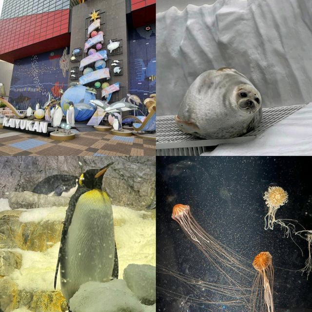 【大阪】日本最大水族館，必去景點