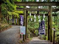 The Tamaki Shrine