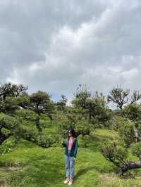 Fansipan Cable Car: A Skyward Odyssey