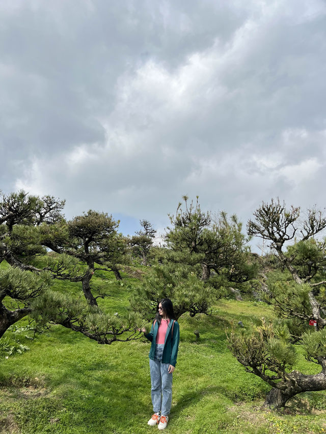 Fansipan Cable Car: A Skyward Odyssey