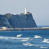 「海螢島」：原始生態、碧海藍天