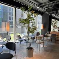 강남역 데이트, 혼공하기 좋은 24시간 카페 The november 라운지
