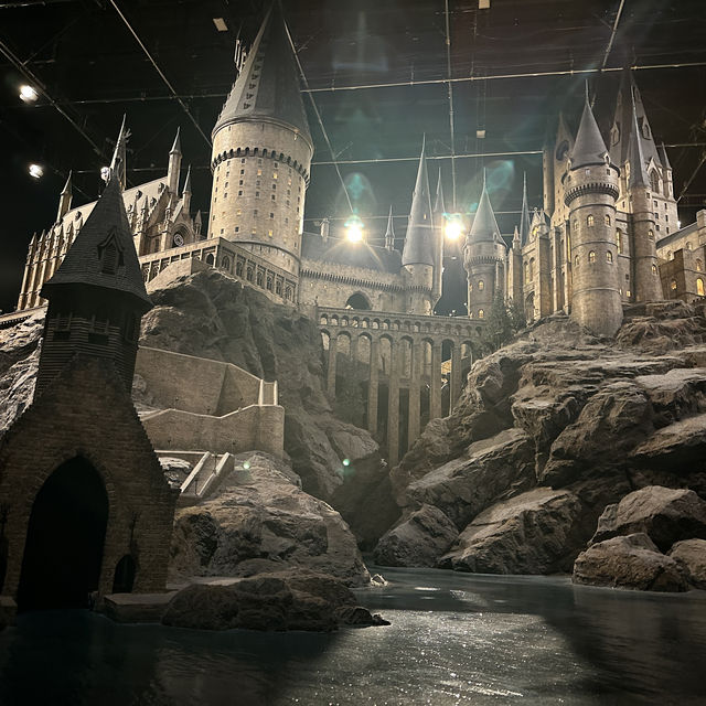 A Magic Beyond All We Do Here, Expalliarmus!!