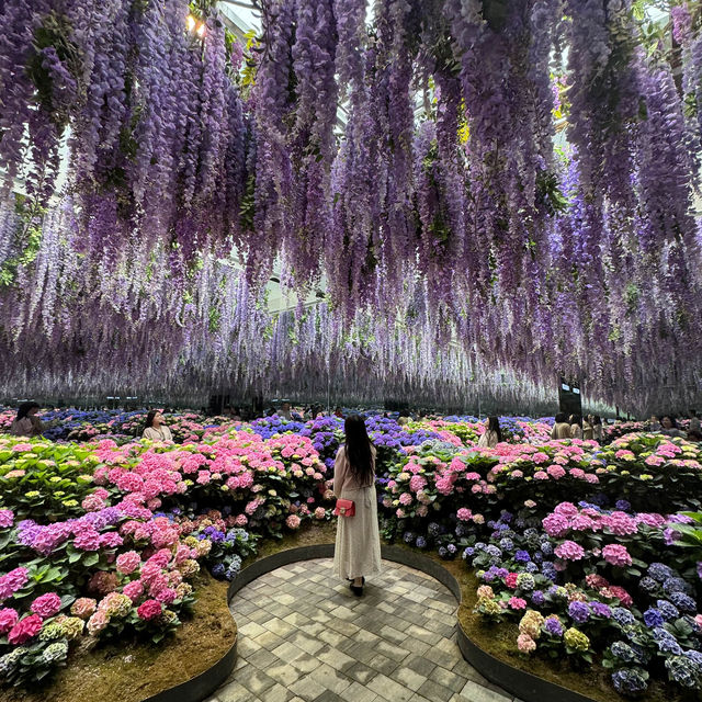유명해지기전에 다녀와야할 가평 신상핫플🌷