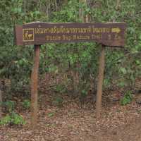 จุดชมวิวผาแดง อช.ตราพระยา