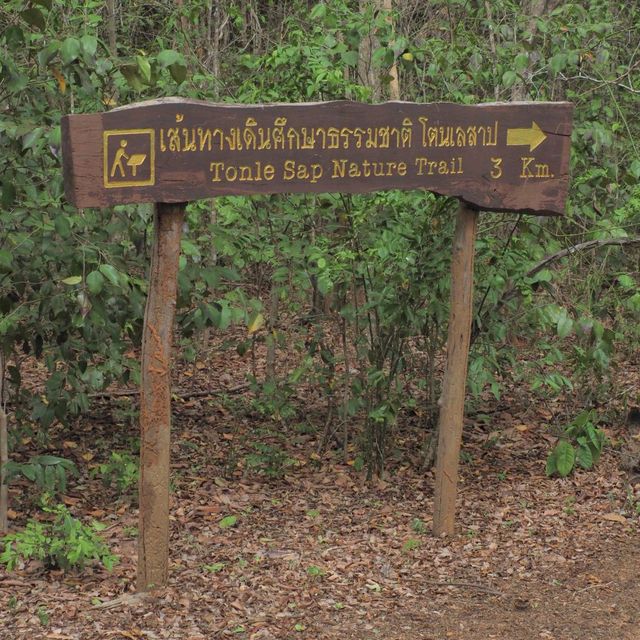 จุดชมวิวผาแดง อช.ตราพระยา