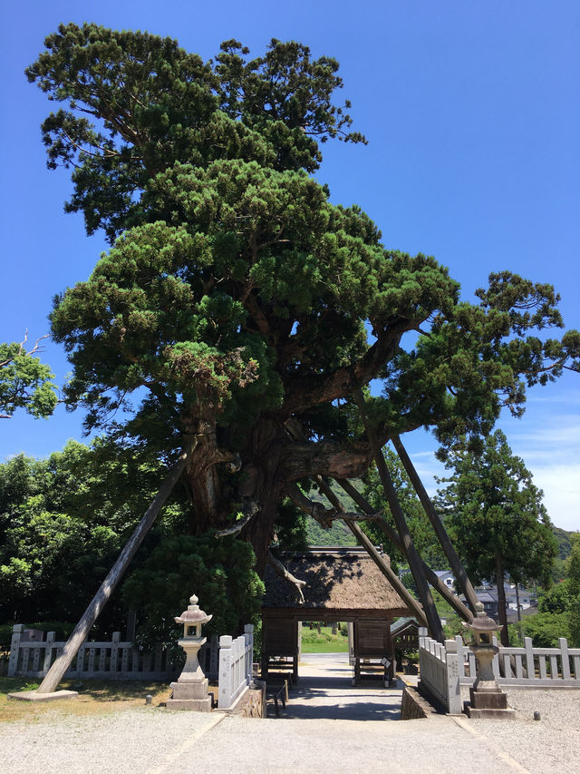 探訪隠岐島玉若酢命神社：歷史與靈性的融合