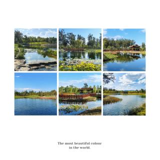 「五股水碓觀景公園」享受寧靜美好時光