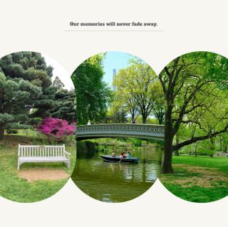 「斯坦利公園～放鬆身心」