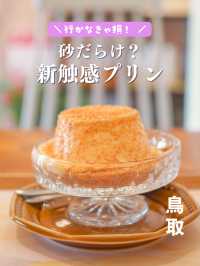【鳥取】砂丘から30秒、新触感の砂プリン🐪🏜️🍮