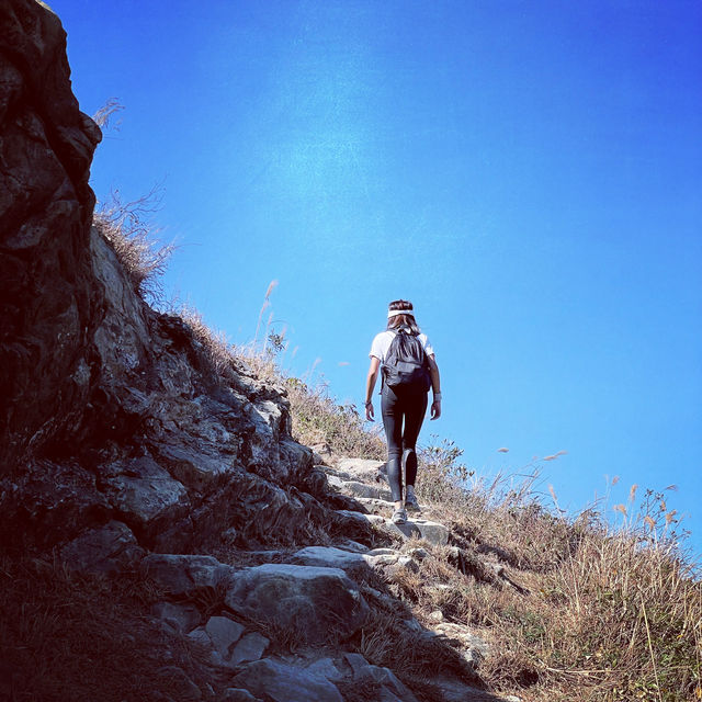🏞️ 香港必訪景點 - 大嶼山郊野公園！探索自然寶藏！